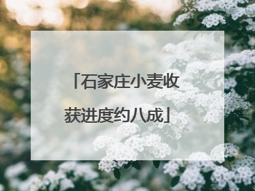 石家庄小麦收获进度约八成