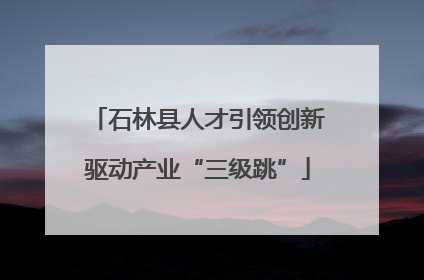 石林县人才引领创新驱动产业“三级跳”