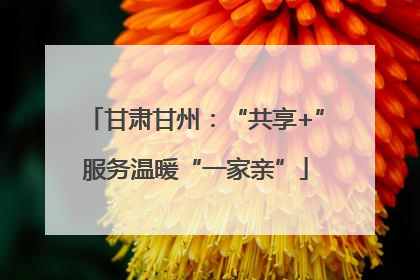 甘肃甘州：“共享+”服务温暖“一家亲”