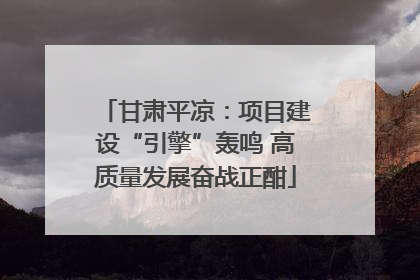 甘肃平凉：项目建设“引擎”轰鸣 高质量发展奋战正酣
