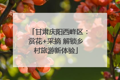 甘肃庆阳西峰区：赏花+采摘 解锁乡村旅游新体验
