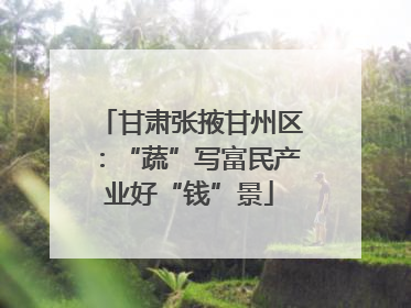 甘肃张掖甘州区：“蔬”写富民产业好“钱”景