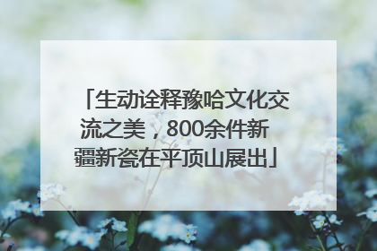 生动诠释豫哈文化交流之美，800余件新疆新瓷在平顶山展出