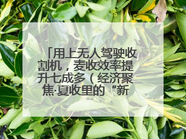 用上无人驾驶收割机，麦收效率提升七成多（经济聚焦·夏收里的“新选手”）