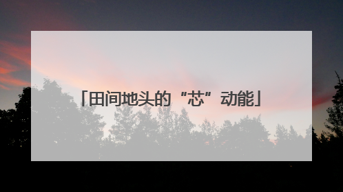 田间地头的“芯”动能