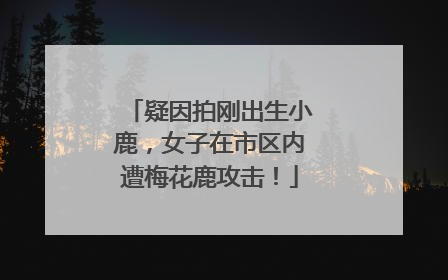 疑因拍刚出生小鹿，女子在市区内遭梅花鹿攻击！