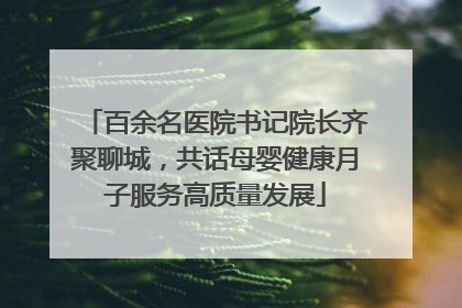 百余名医院书记院长齐聚聊城，共话母婴健康月子服务高质量发展