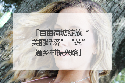 百亩荷塘绽放“美丽经济”“莲”通乡村振兴路