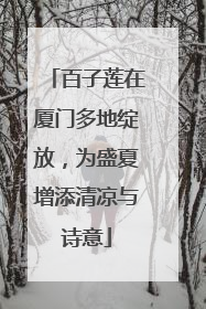 百子莲在厦门多地绽放，为盛夏增添清凉与诗意