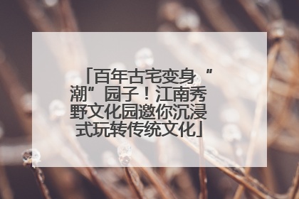 百年古宅变身“潮”园子！江南秀野文化园邀你沉浸式玩转传统文化
