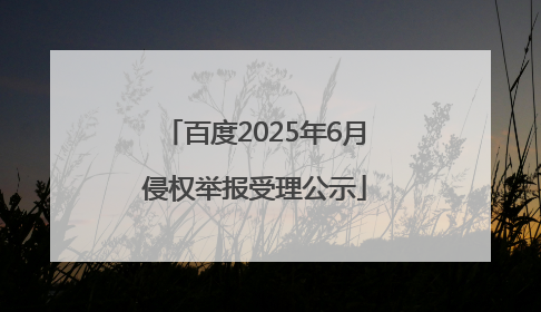 百度2025年6月侵权举报受理公示