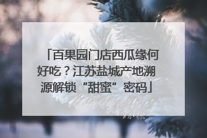 百果园门店西瓜缘何好吃？江苏盐城产地溯源解锁“甜蜜”密码