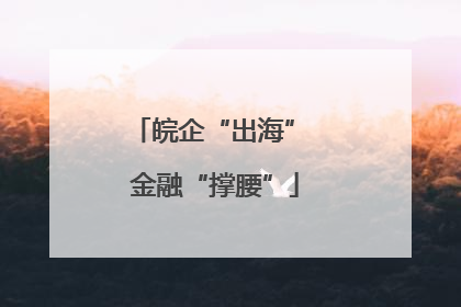 皖企“出海” 金融“撑腰”