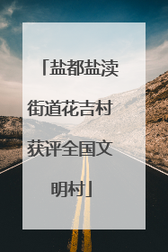 盐都盐渎街道花吉村获评全国文明村