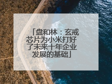 盘和林：玄戒芯片为小米打好了未来十年企业发展的基础