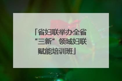 省妇联举办全省“三新”领域妇联赋能培训班