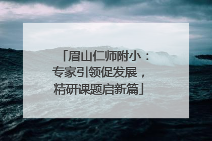 眉山仁师附小：专家引领促发展，精研课题启新篇