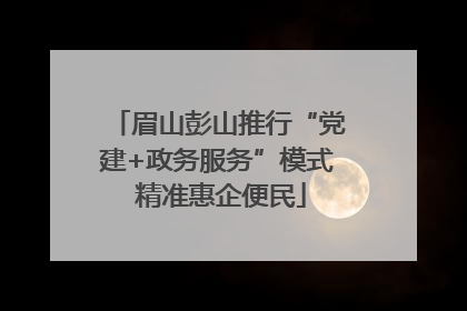 眉山彭山推行“党建+政务服务”模式 精准惠企便民