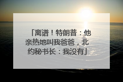 离谱！特朗普：他亲热地叫我爸爸，北约秘书长：我没有