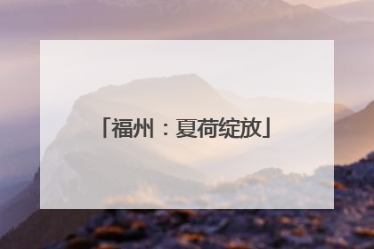 福州：夏荷绽放