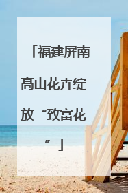 福建屏南高山花卉绽放“致富花”