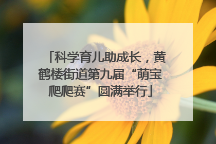 科学育儿助成长，黄鹤楼街道第九届“萌宝爬爬赛”圆满举行