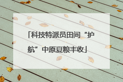 科技特派员田间“护航”中原夏粮丰收