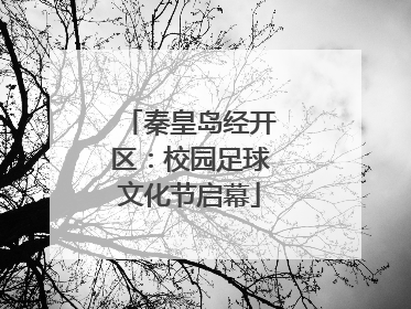 秦皇岛经开区：校园足球文化节启幕