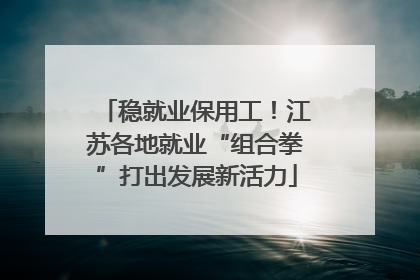 稳就业保用工！江苏各地就业“组合拳”打出发展新活力