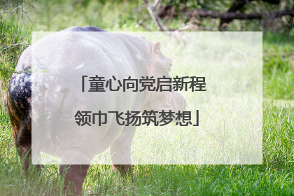 童心向党启新程 领巾飞扬筑梦想