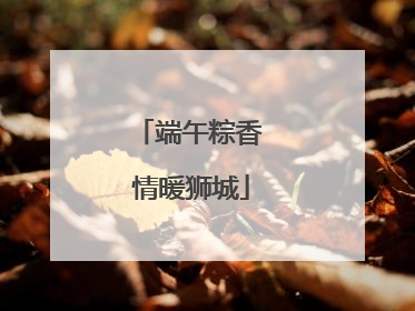 端午粽香 情暖狮城