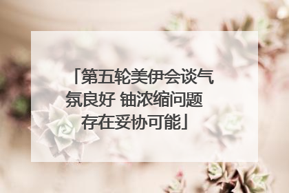 第五轮美伊会谈气氛良好 铀浓缩问题存在妥协可能