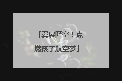 翼展陉空！点燃孩子航空梦