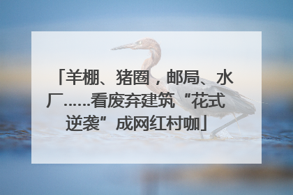 羊棚、猪圈，邮局、水厂……看废弃建筑“花式逆袭”成网红村咖