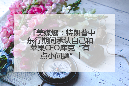 美媒爆：特朗普中东行期间承认自己和苹果CEO库克“有点小问题”