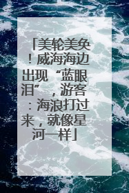 美轮美奂！威海海边出现“蓝眼泪”，游客：海浪打过来，就像星河一样