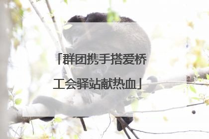 群团携手搭爱桥 工会驿站献热血