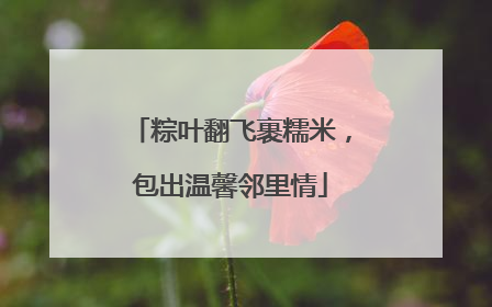 粽叶翻飞裹糯米，包出温馨邻里情