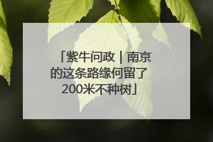 紫牛问政｜南京的这条路缘何留了200米不种树