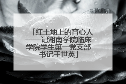 红土地上的育心人——记湘南学院临床学院学生第一党支部书记王世英