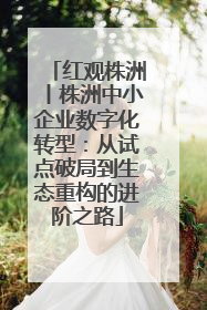 红观株洲丨株洲中小企业数字化转型：从试点破局到生态重构的进阶之路