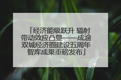 经济能级跃升 辐射带动效应凸显——成渝双城经济圈建设五周年智库成果重磅发布