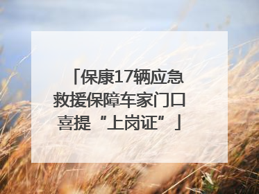 保康17辆应急救援保障车家门口喜提“上岗证”
