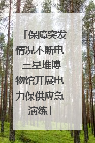 保障突发情况不断电 三星堆博物馆开展电力保供应急演练