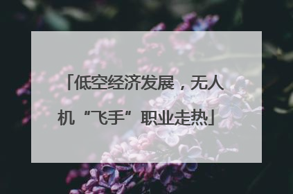 低空经济发展，无人机“飞手”职业走热