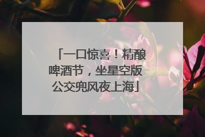 一口惊喜！精酿啤酒节，坐星空版公交兜风夜上海