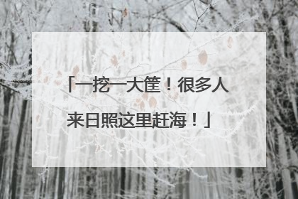 一挖一大筐！很多人来日照这里赶海！