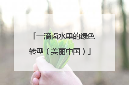 一滴卤水里的绿色转型（美丽中国）