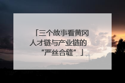 三个故事看黄冈人才链与产业链的“严丝合缝”