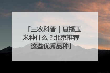三农科普｜夏播玉米种什么？北京推荐这些优秀品种